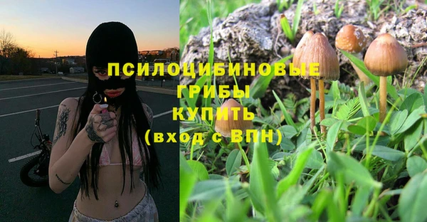 бошки Абаза