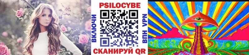 Псилоцибиновые грибы ЛСД цена наркотик Кингисепп