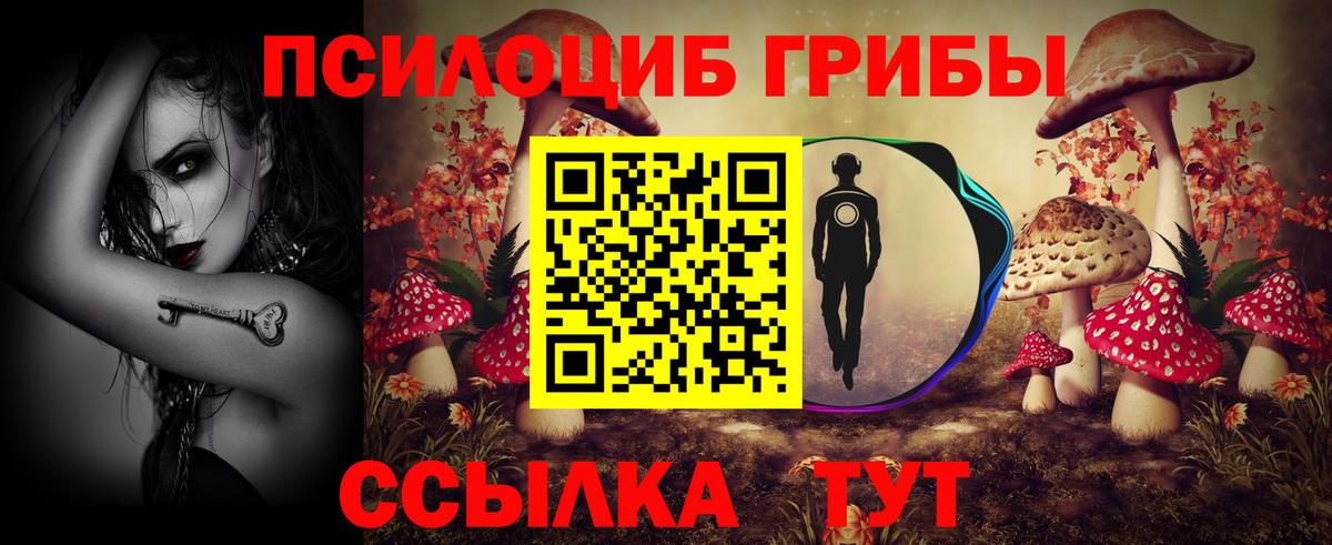 цены   Вход с VPN  Кингисепп  Псилоцибиновые грибы Magic Shrooms  Псилоцибиновые грибы Cubensis 